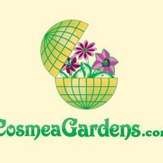 Cosmea Gardens